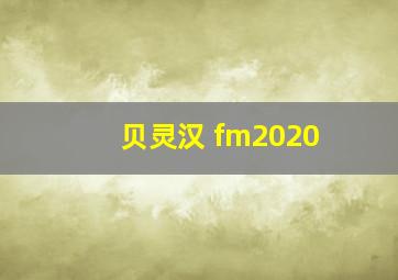 贝灵汉 fm2020